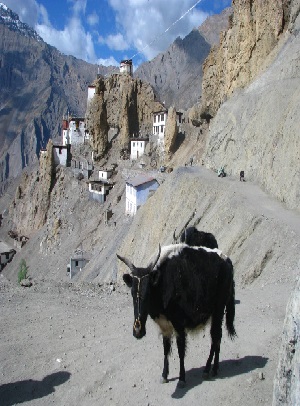 LEH